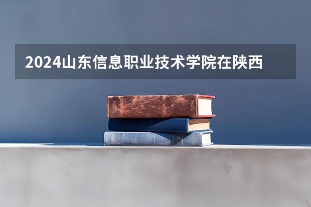 2024山东信息职业技术学院在陕西招生计划表