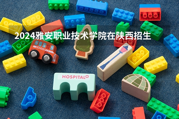 2024雅安职业技术学院在陕西招生计划表