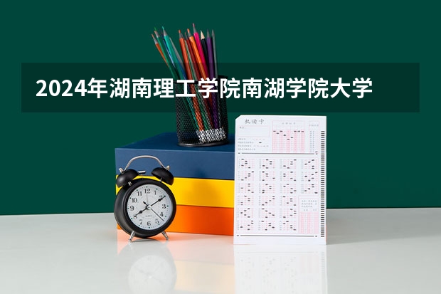 2024年湖南理工学院南湖学院大学录取分数线是多少？