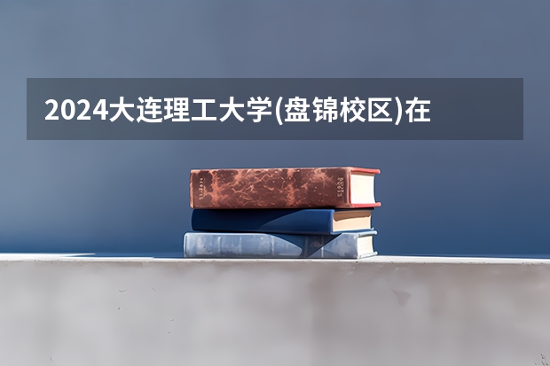 2024大连理工大学(盘锦校区)在广西招生计划表