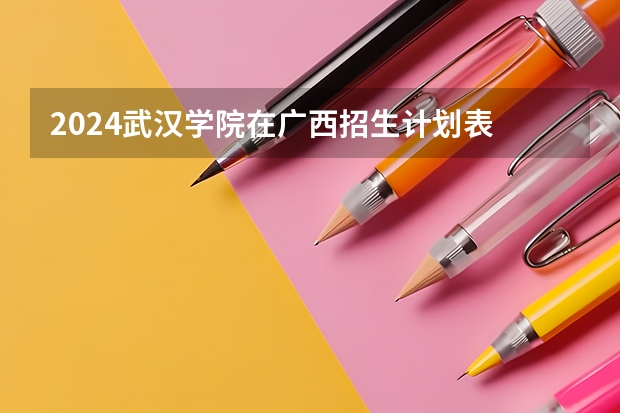 2024武汉学院在广西招生计划表