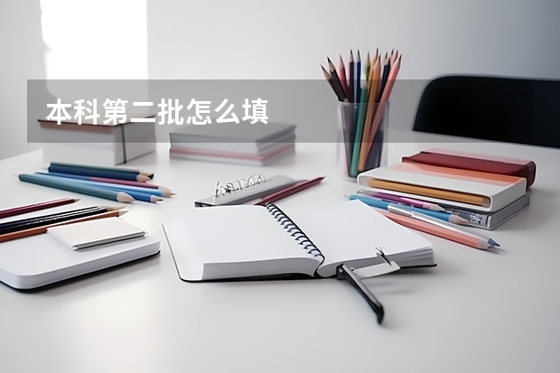 本科第二批怎么填