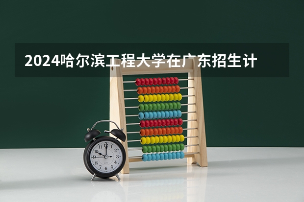 2024哈尔滨工程大学在广东招生计划表