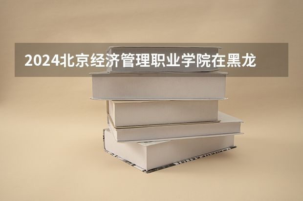 2024北京经济管理职业学院在黑龙江招生计划表