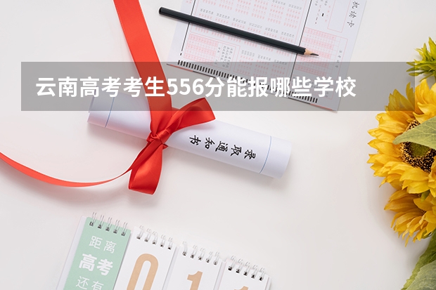 云南高考考生556分能报哪些学校