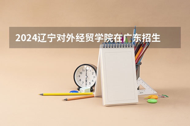 2024辽宁对外经贸学院在广东招生计划表