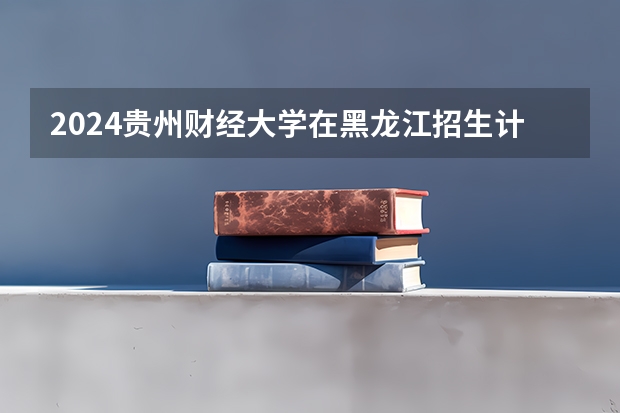 2024贵州财经大学在黑龙江招生计划表