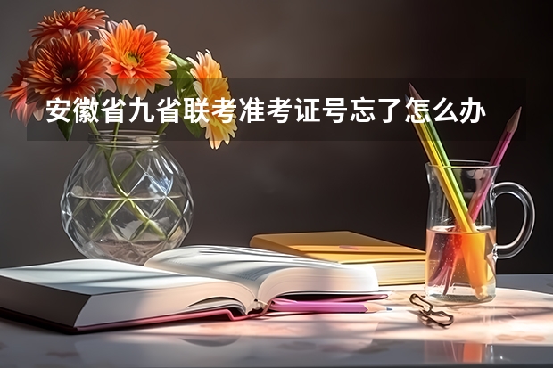 安徽省九省联考准考证号忘了怎么办