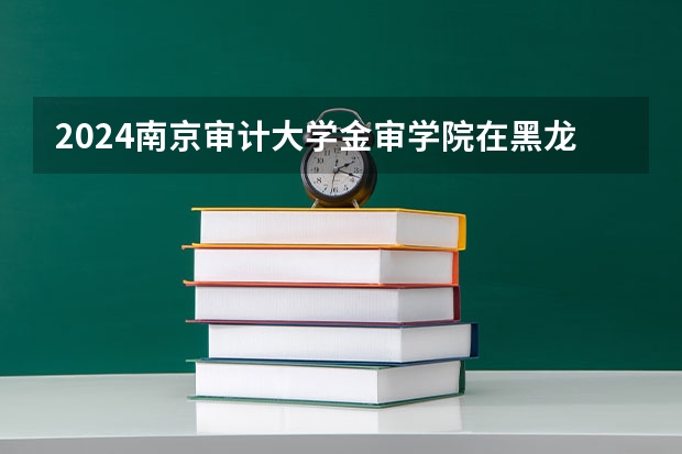 2024南京审计大学金审学院在黑龙江招生计划表