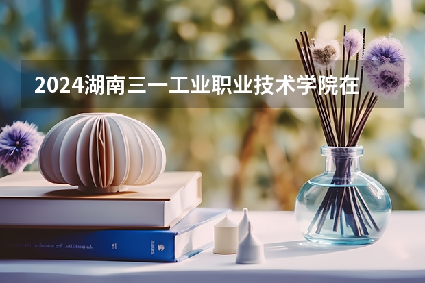 2024湖南三一工业职业技术学院在广东招生计划表