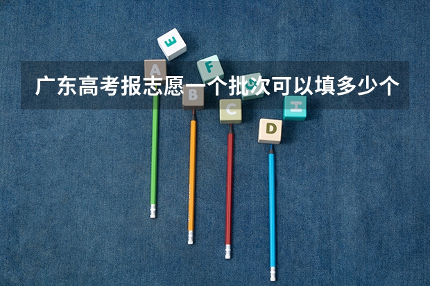 广东高考报志愿一个批次可以填多少个志愿