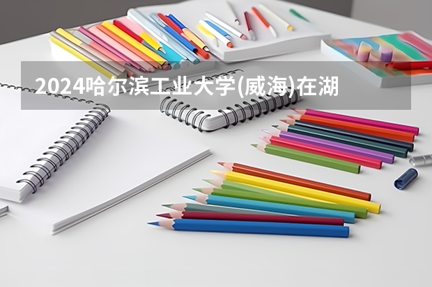 2024哈尔滨工业大学(威海)在湖南招生计划表
