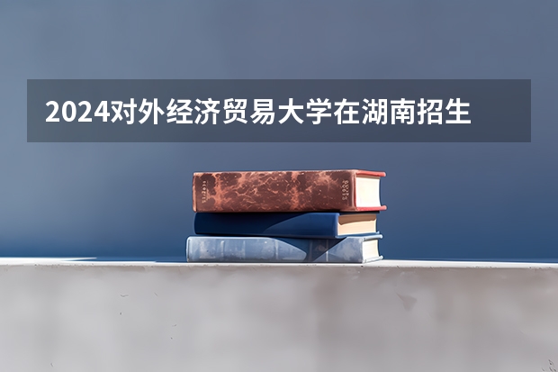 2024对外经济贸易大学在湖南招生计划表
