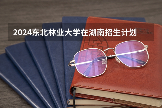 2024东北林业大学在湖南招生计划表