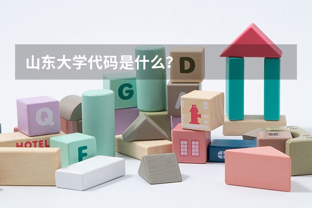 山东大学代码是什么？