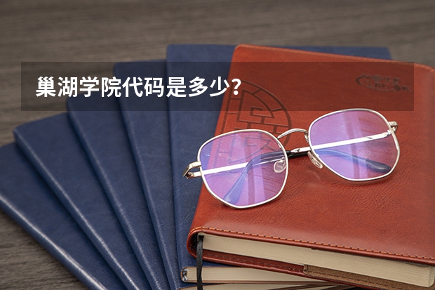 巢湖学院代码是多少？