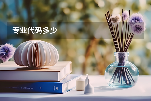 专业代码多少