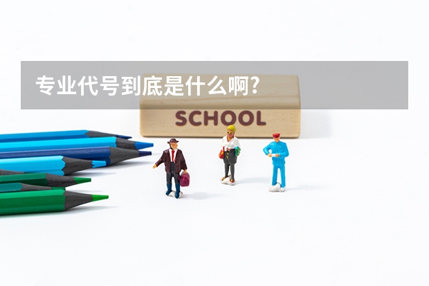 专业代号到底是什么啊?