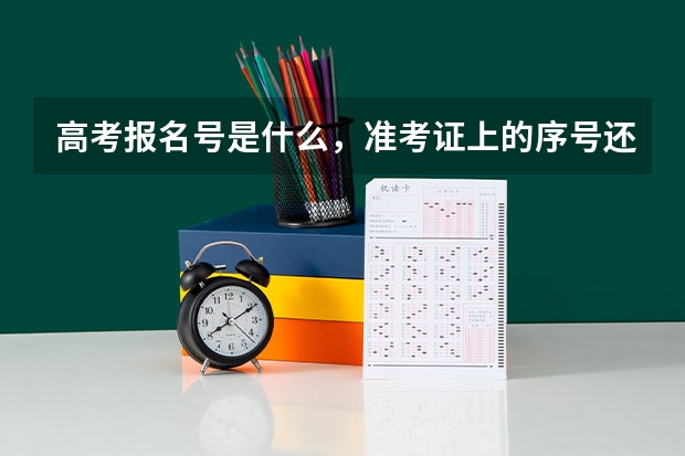 高考报名号是什么,准考证上的序号还是