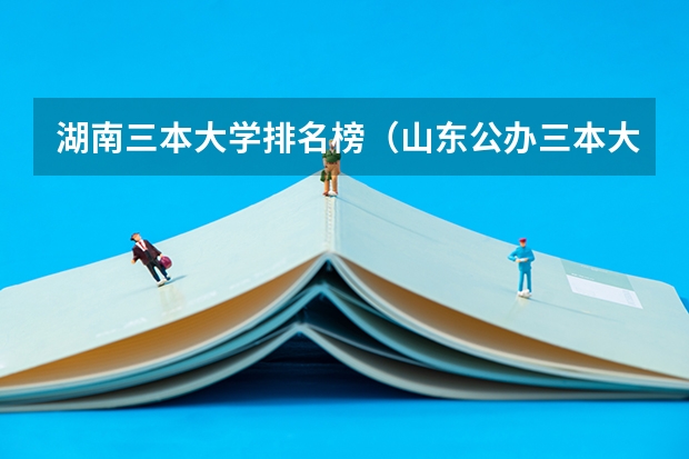 湖南三本大学排名榜（山东公办三本大学排名及分数线）