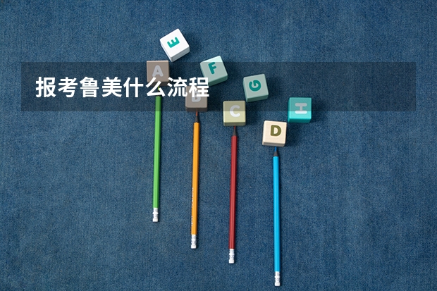 报考鲁美什么流程