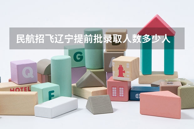 民航招飞辽宁提前批录取人数多少人