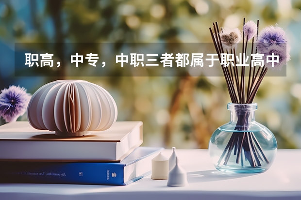 职高，中专，中职三者都属于职业高中，该如何区分？