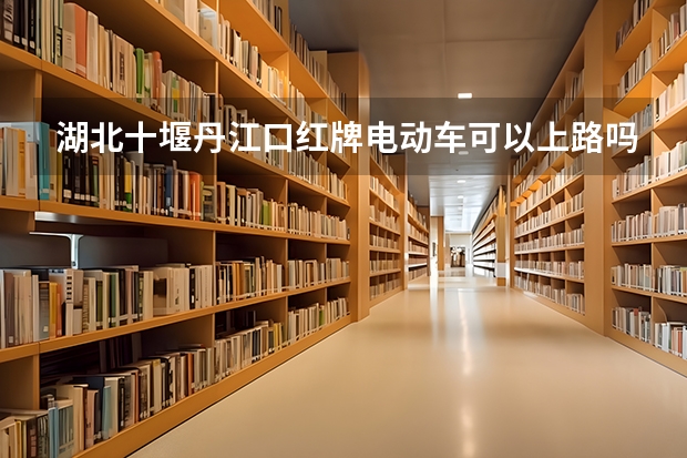 湖北十堰丹江口红牌电动车可以上路吗