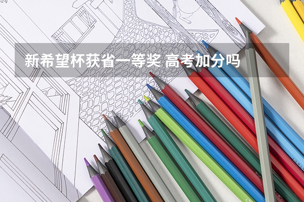 新希望杯获省一等奖 高考加分吗
