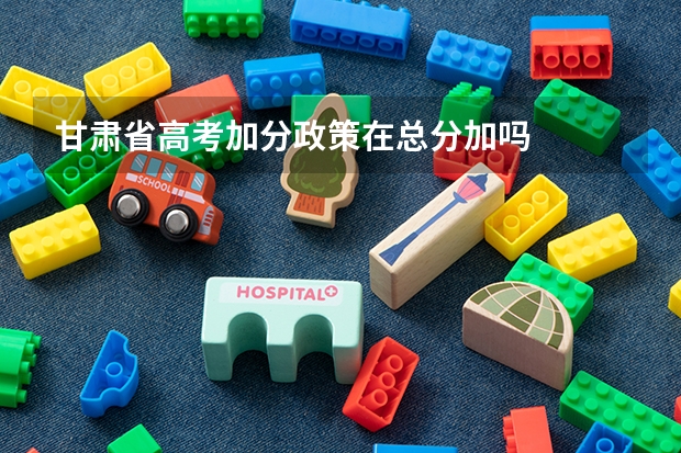 甘肃省高考加分政策在总分加吗