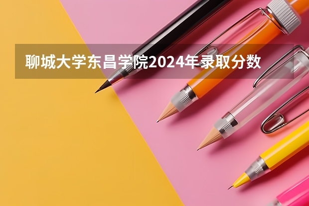 聊城大学东昌学院2024年录取分数线汇总