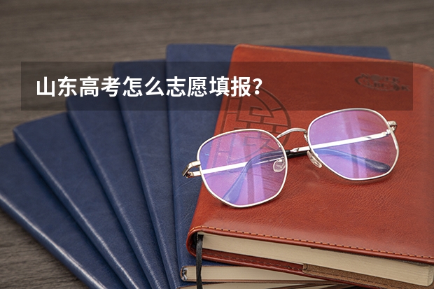 山东高考怎么志愿填报？