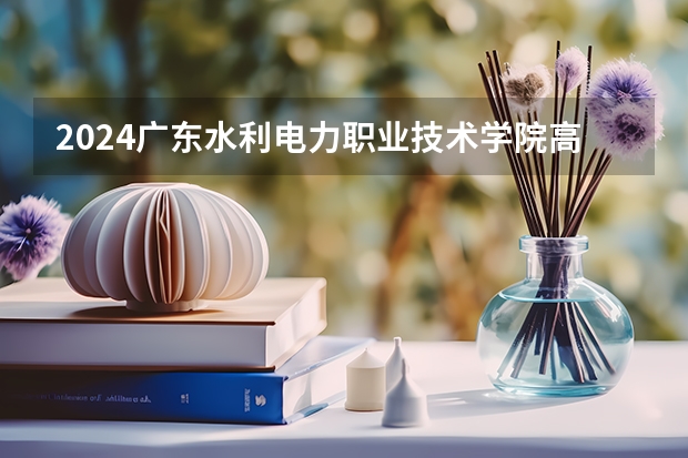 2024广东水利电力职业技术学院高考录取分数线是多少？