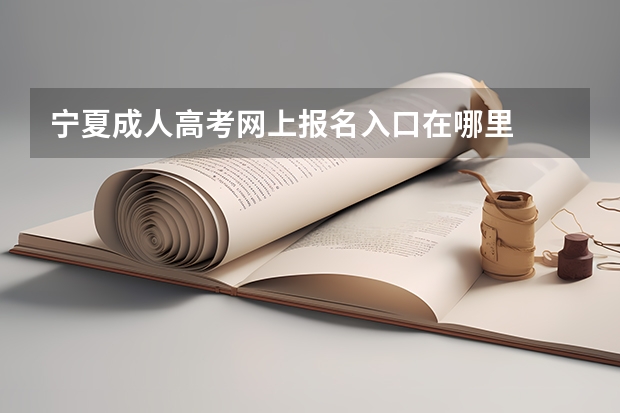 宁夏成人高考网上报名入口在哪里