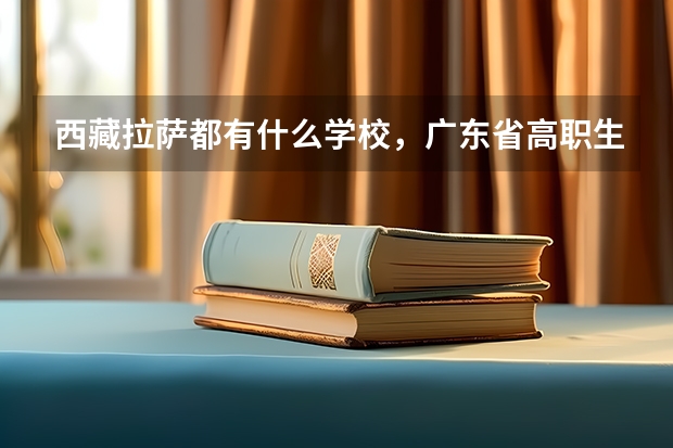西藏拉萨都有什么学校，广东省高职生通过高考，能考去西藏拉萨的学校吗，想读服装设计，西藏拉萨或西藏有