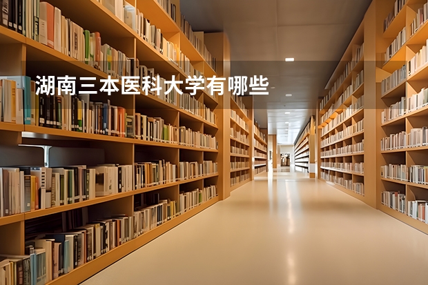湖南三本医科大学有哪些