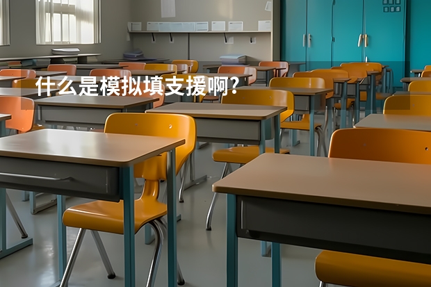 什么是模拟填支援啊?