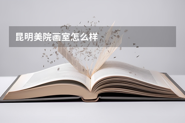 昆明美院画室怎么样