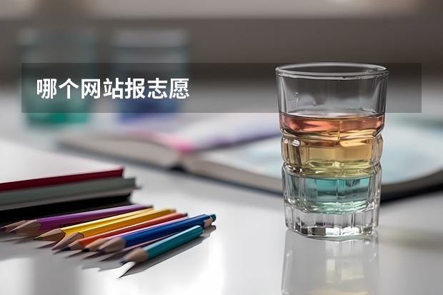 哪个网站报志愿