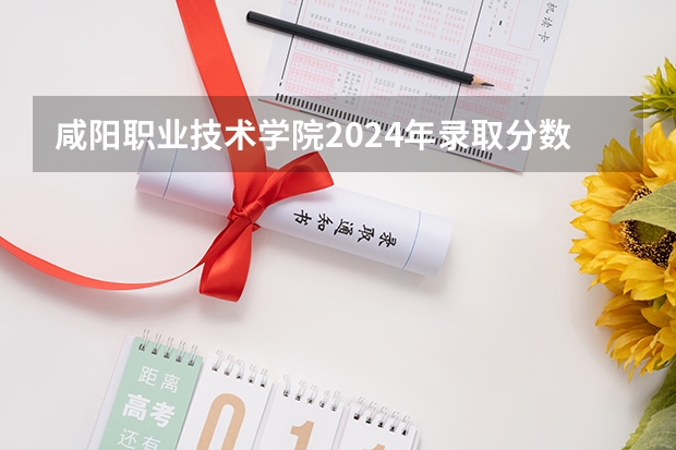 咸阳职业技术学院2024年录取分数线汇总