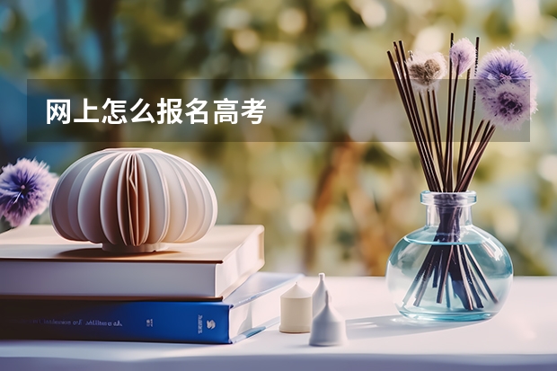 网上怎么报名高考
