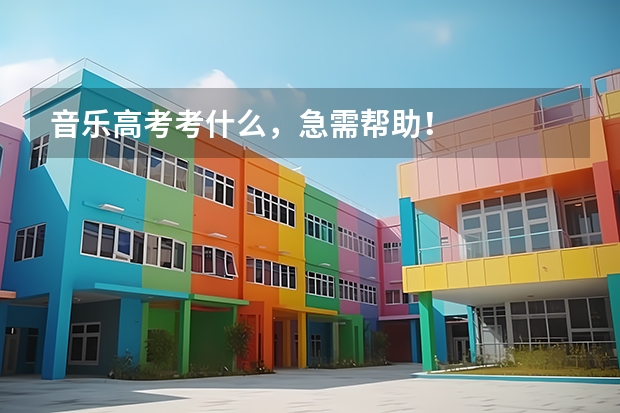 音乐高考考什么，急需帮助！