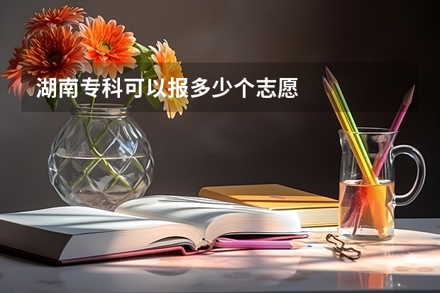 湖南专科可以报多少个志愿
