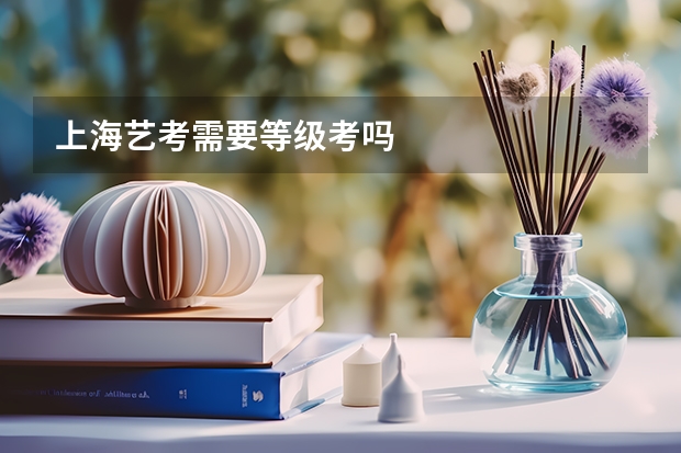 上海艺考需要等级考吗