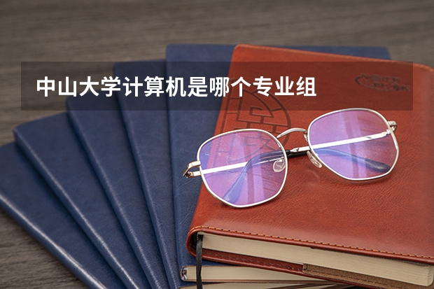 中山大学计算机是哪个专业组
