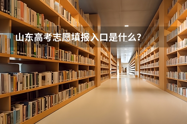 山东高考志愿填报入口是什么？