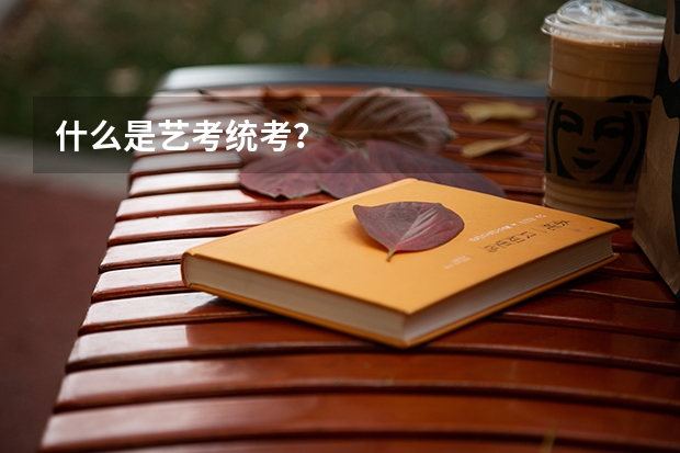 什么是艺考统考？