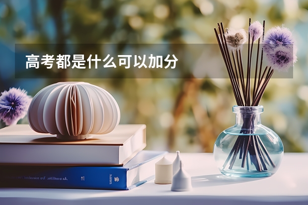 高考都是什么可以加分