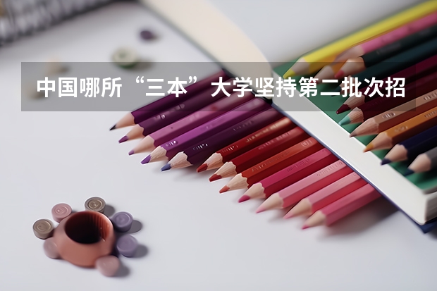 中国哪所“三本”大学坚持第二批次招生，有望升级为985高校？（三本艺术类的大学排名？）