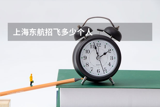 上海东航招飞多少个人